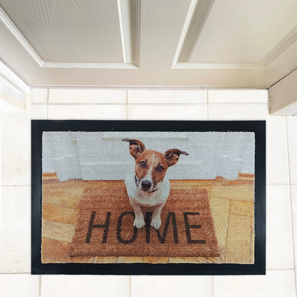Doormat Dog Home 40x60-18000477C