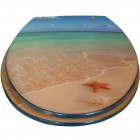 Toilet Lid Starfish Sand 36x43cm