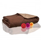 ΠΑΠΛΩΜΑ SL7366-2 160X220