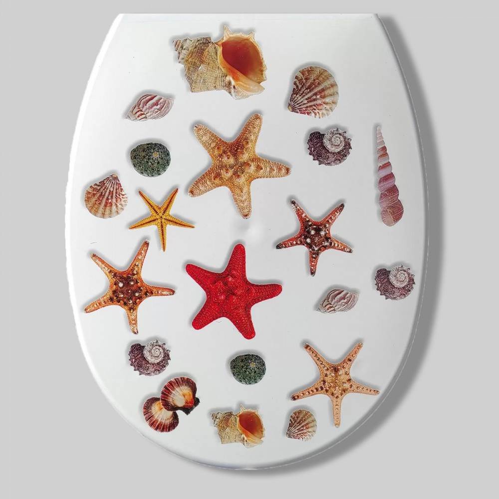 Toilet Lid Sterne 36X45