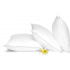 Pillow Comfort 1000gr (233T) 50x70cm